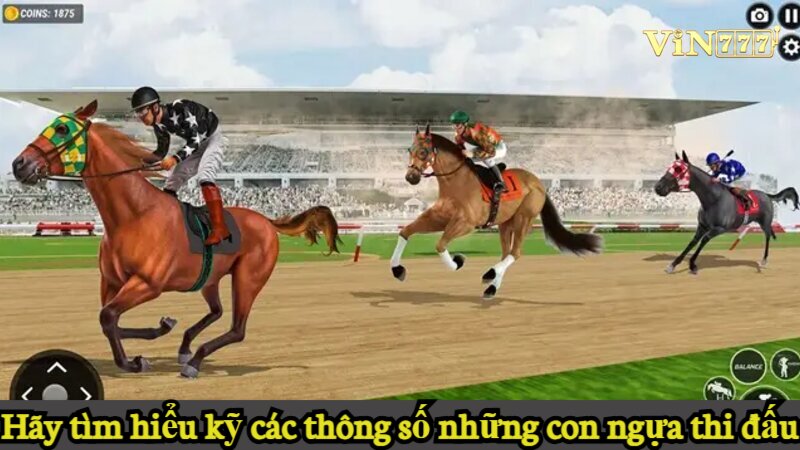 Hãy tìm hiểu kỹ các thông số những con ngựa thi đấu