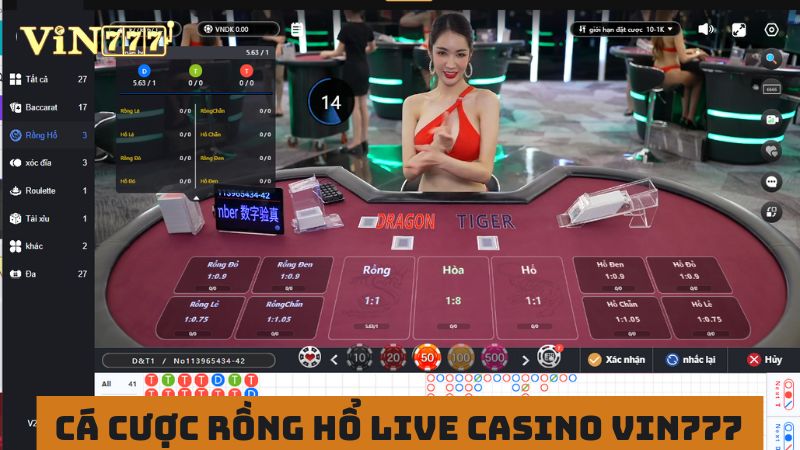 Cá cược rồng hổ siêu hot tại live casino VIN777