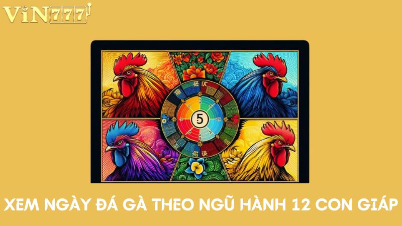 Xem ngày đá gà tốt phụ thuộc vào ngũ hành của từng con giáp